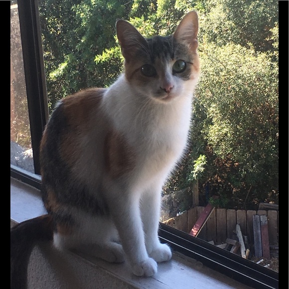 Meet your Posher, Kathy - Picture 1 of 1